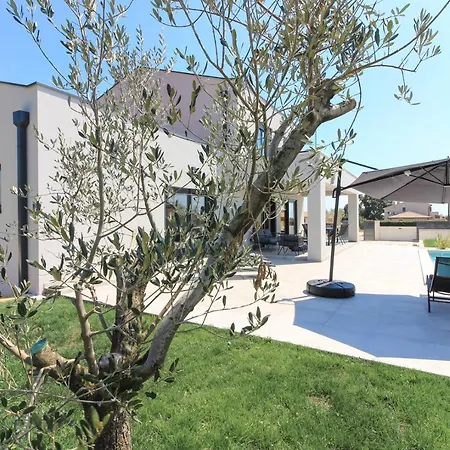 别墅 Modern With Private Pool In